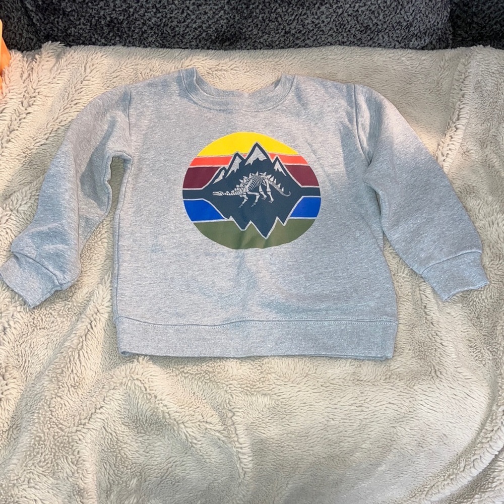 🎉4 for $20 Garanimals Crewneck Sweatshirt, 4T